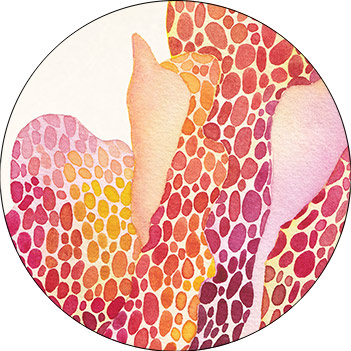 Herbier de la Sorciere Libre Detail Fleur 9 Venenatum Tentaculum Aquarelle CatMat